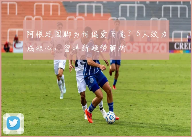 阿根廷国脚为何偏爱马竞?6人效力成核心,留洋新趋势解析